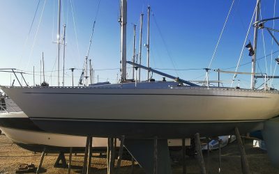 Contessa 25